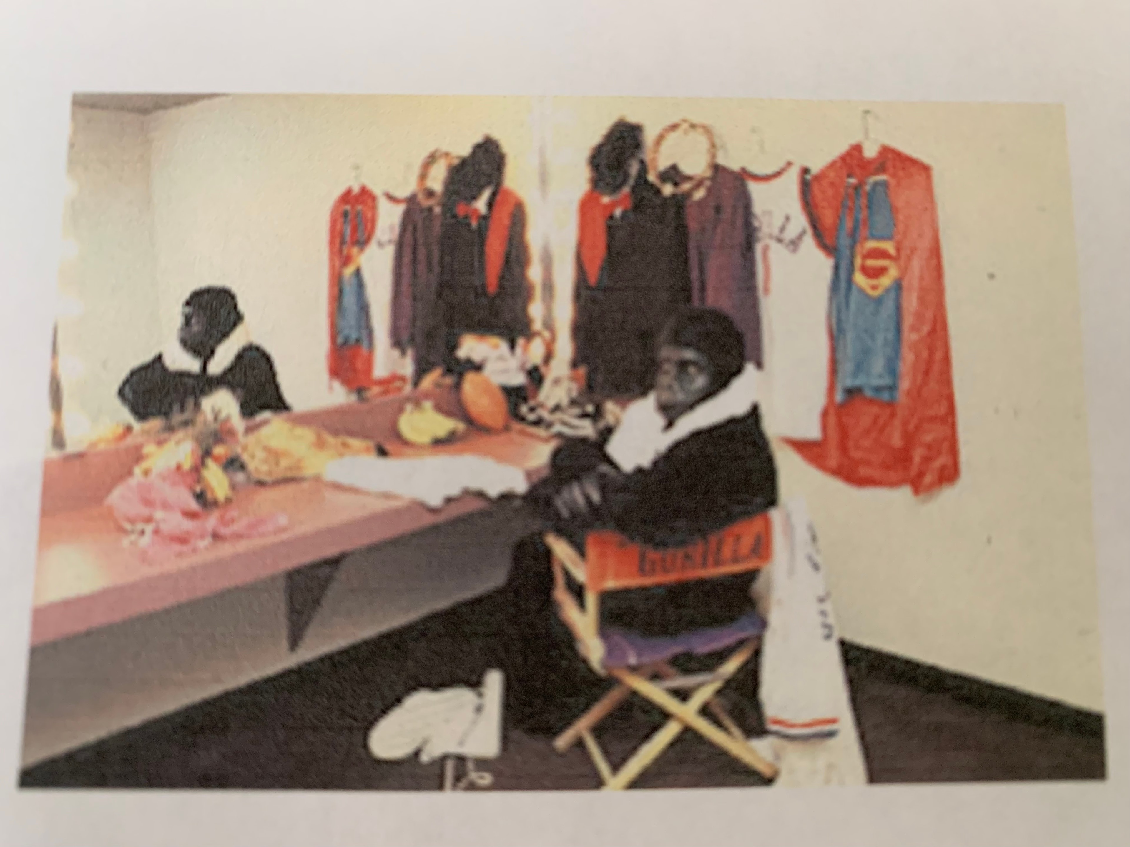Phoenix Suns directory featuring The Gorilla