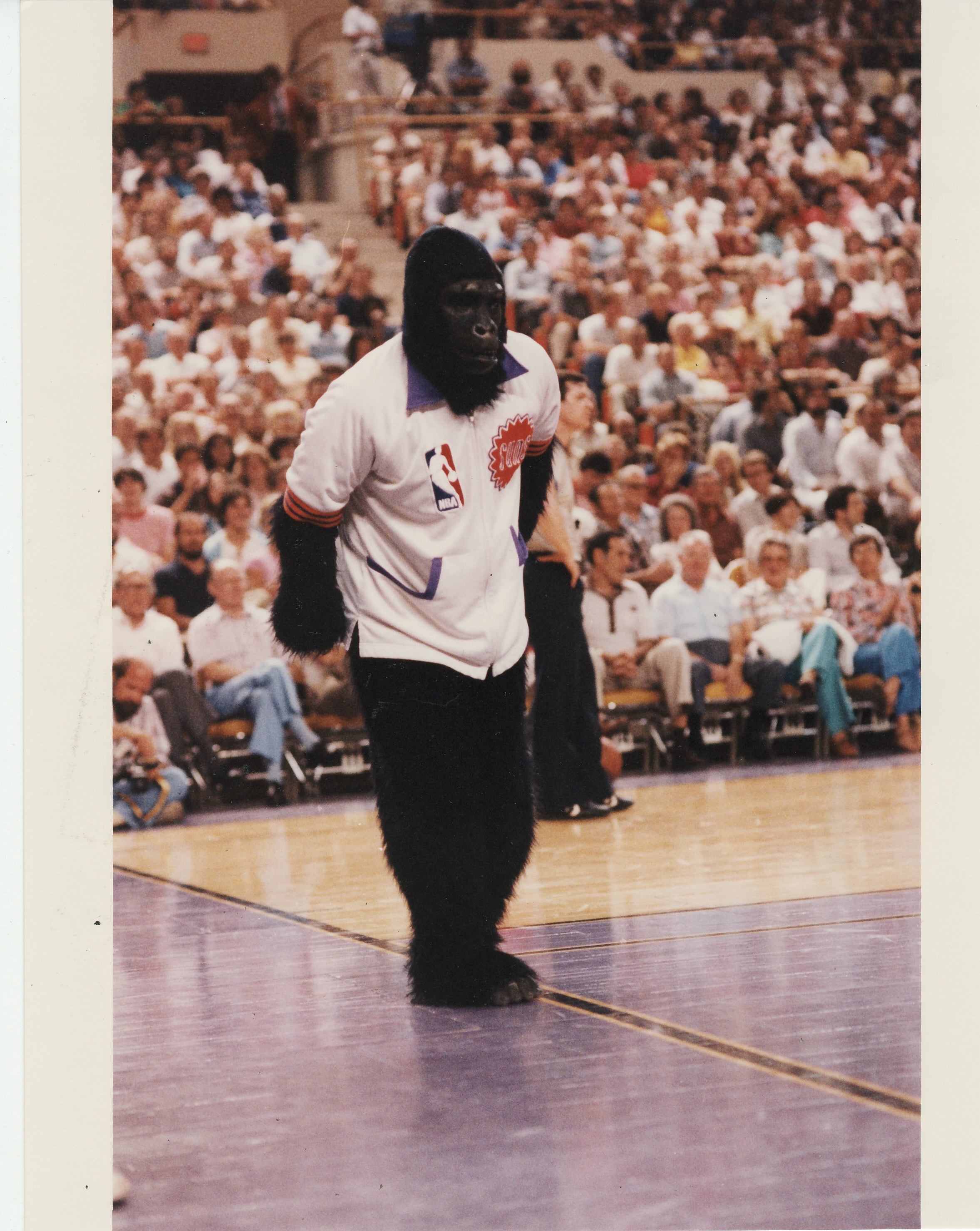 Classic Phoenix Suns dribbling promo