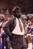 The Gorilla in a suit and tie
